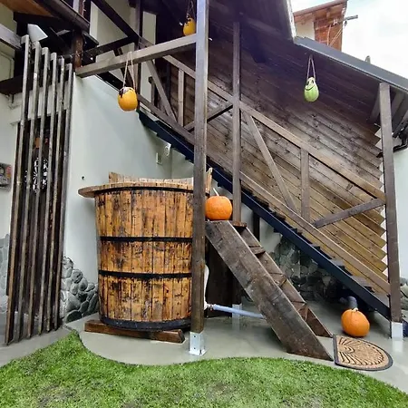 Colfly * Brašov