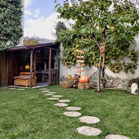 公寓 Colfly 布拉索夫