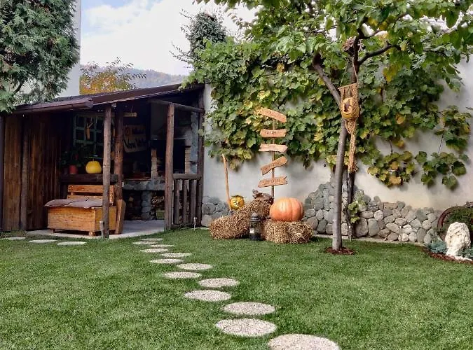 Appartement Colfly Braşov